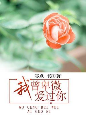 再见贺之昭柏君txt