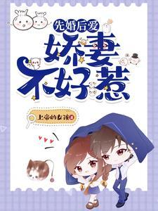 小夫人全文免费