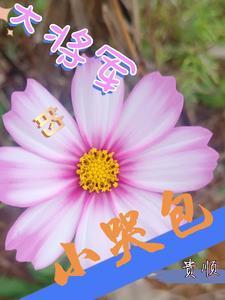 病弱道侣是仙门第一笔趣阁