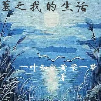 替身受和白月光he作者楚执免费