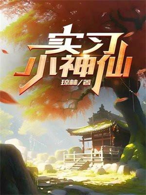 赵辰宇