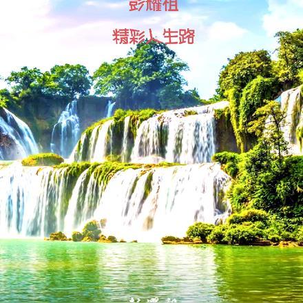 我全宗门穿