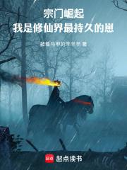 山风入怀TXT