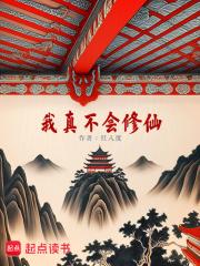 红楼大当家免费阅读全文